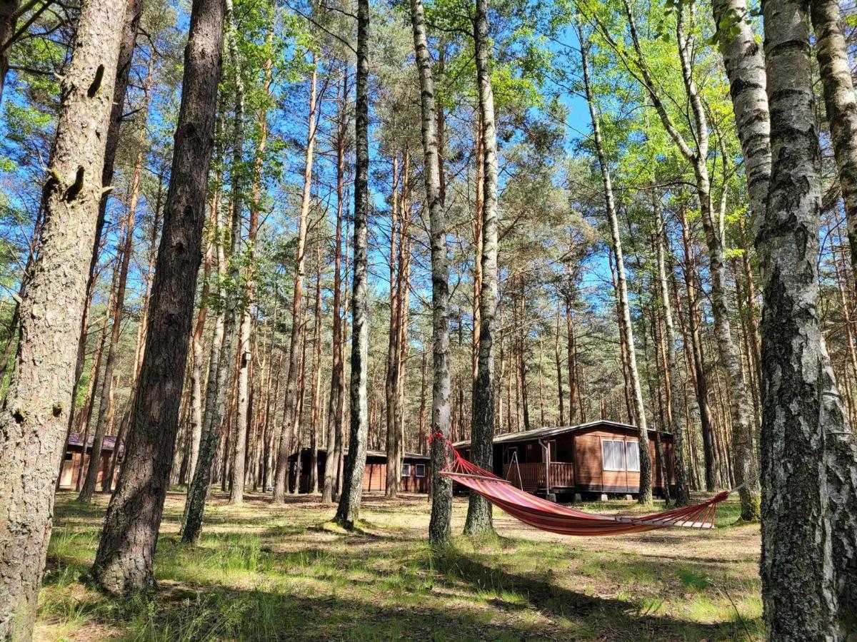 Zacisze, Okoniny Sliwice