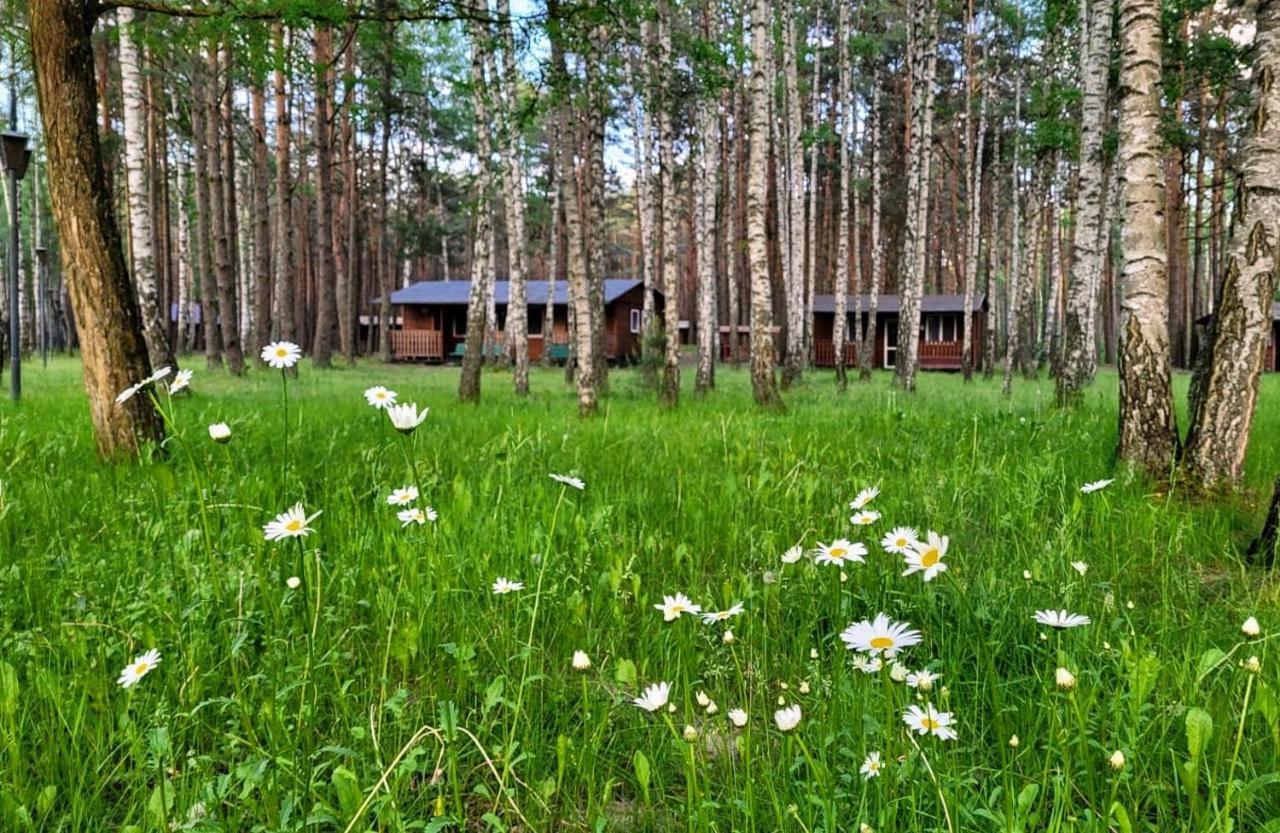 Holiday home Zacisze, Okoniny *